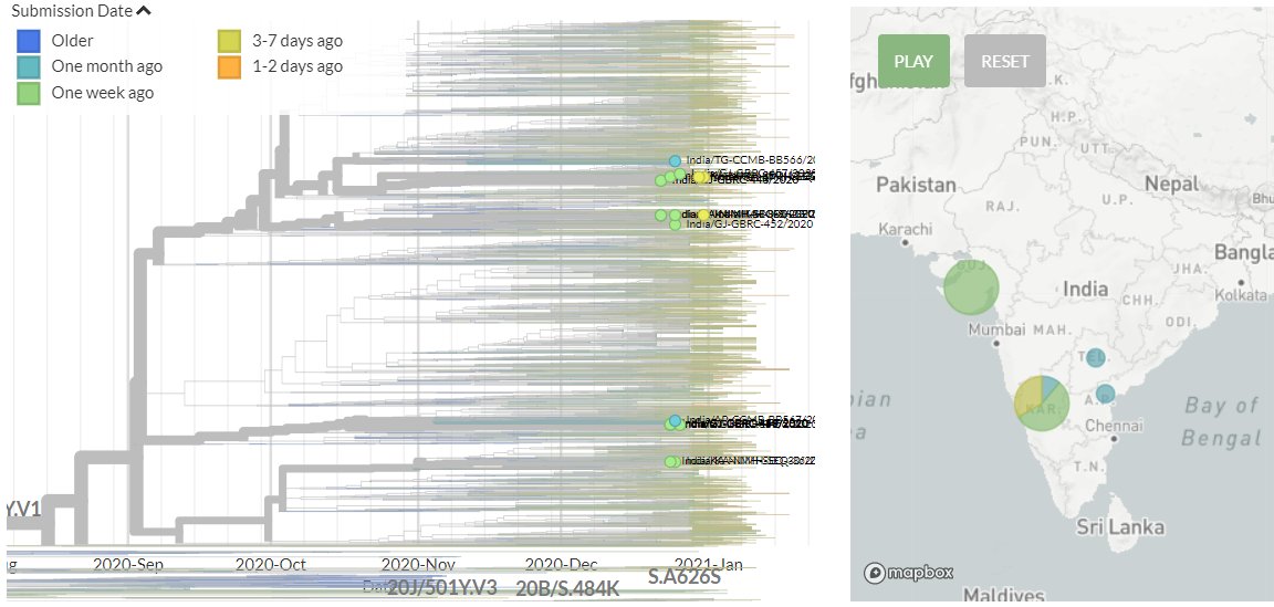 India has 3 new sequences (yellow). These connect to older sequences, which may indicate local transmission or a common exposure source.11/18