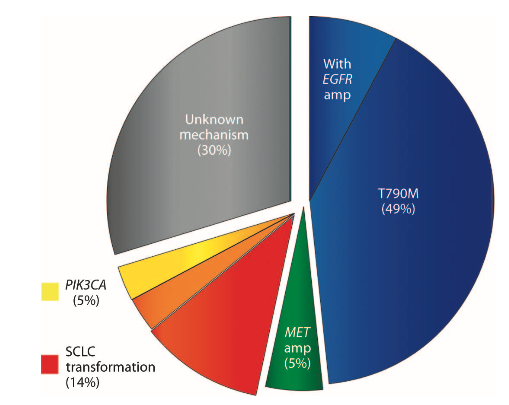 Thanks to seminal work (including  @LeciaSequist  @ZPiotrowskaMD  @HelenaYu923  @DrSteveMartin and others!) in the study of EGFR+ NSCLC, we learned more about TKI resistance , and we can take advantage of that to get responses. The best example of this is T790M  #LCSM  #WCLC20