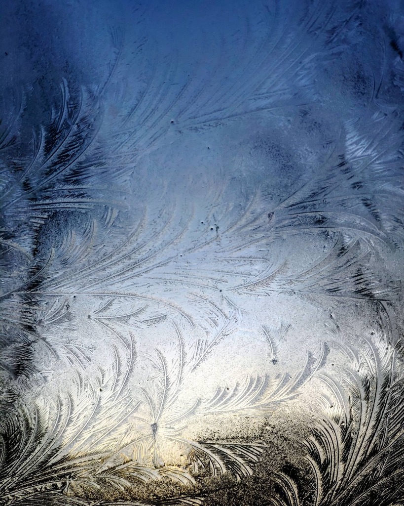 Freezing burn 🥶
--
#january #freeze #frozen #scotland #scotlandisnow #visitscotland #painting #window #frozenwindow #patterns #instascotland #igersscotland #edinburgh #edinburgh_snapshots #edinburghhighlights #edinburghbloggers #edinburghlovers #edin… instagr.am/p/CKj7GSnDoe_/