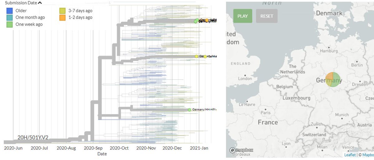 Germany has 4 new sequences (yellow & orange). Some indicate a new introduction, others link to an older sequence.15/18