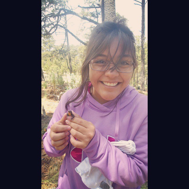 1/6  @Lourdes58783597 and I are glad to participate in the  #AnimBehav2021 twitter conference with our research “Eternal sunshine of a full mind: memory in a short-lived lizard”, at the  @EandBLab . Thanks to  @AnimBehSociety and  @asab_tweets for the opportunity!