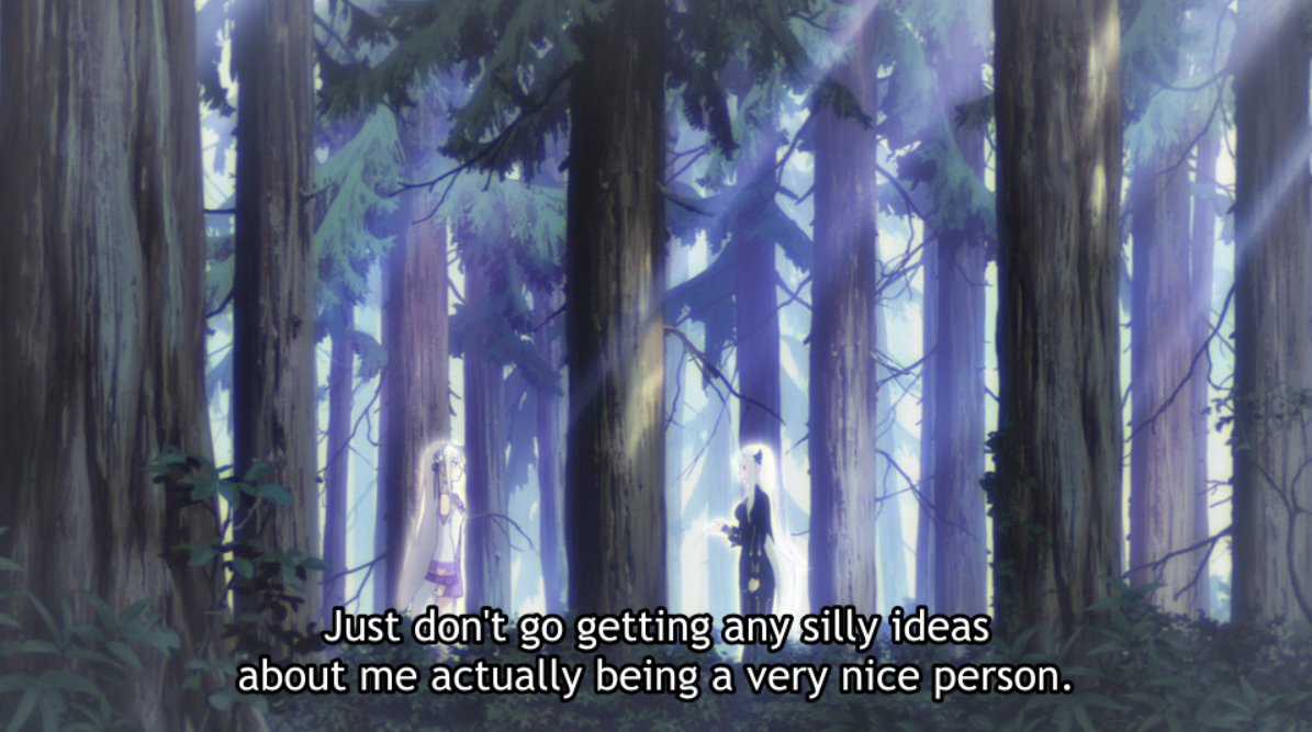 Echidna & Emilia have an interesting dynamic wherein any sympathy Emilia offers bounces right off Echidna. The latter goes as far as to mock Emilia's "sugoooku" verbal tic in her sarcasm.Dona's disdain seems to be aimed towards Emilia's person rather than being tied to Subaru.