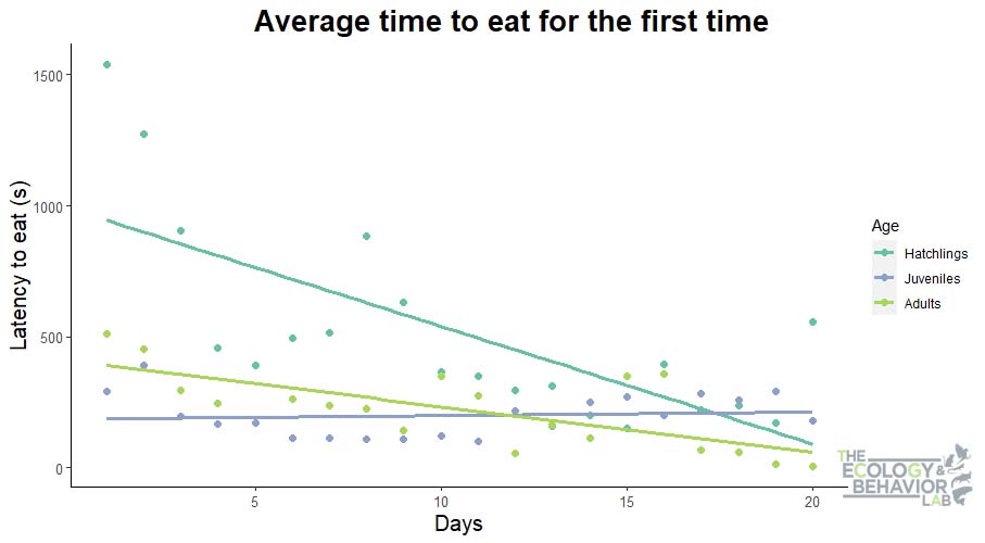 5/6 Over 50% of the  learnt at each stage. Adults performed better than juveniles, while hatchlings had the poorest performance. Hence, information acquired as babies was later used, without being exposed to learning experience, showing that lizards can remember! #AnimBehav2021