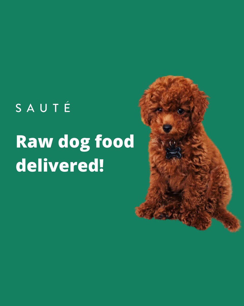 TrySaute's tweet photo. Sauté for dogs is coming soon! #Halifax #trysaute https://t.co/JGuoNUqq5u