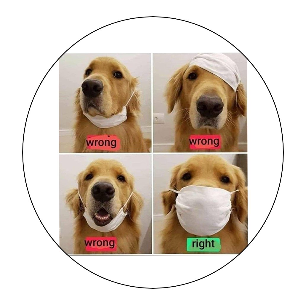 UTCLibrary's tweet image. Looking for something that will remind you (and others) that #MocsMaskUp while on @UTChattanooga campus? Pick up a meme button from @UTCLibrary! On the 1st floor in front of the Check Out desk. Mocs card required to enter, and masks.. obvi 😀 💛 💙