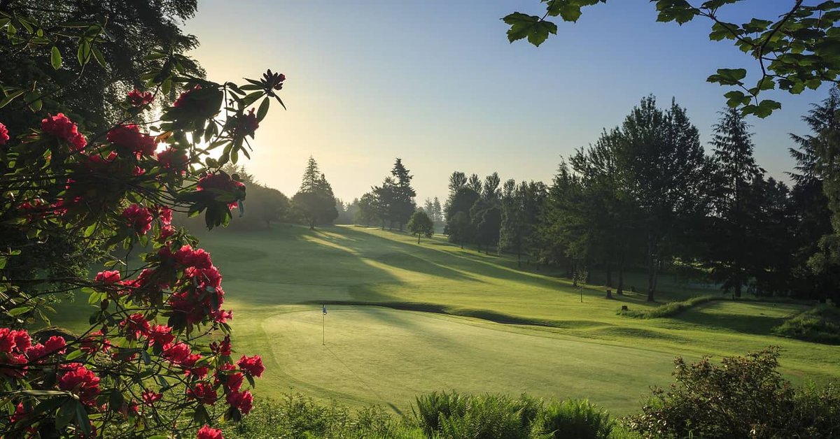 GolfScotland.NET tweet media