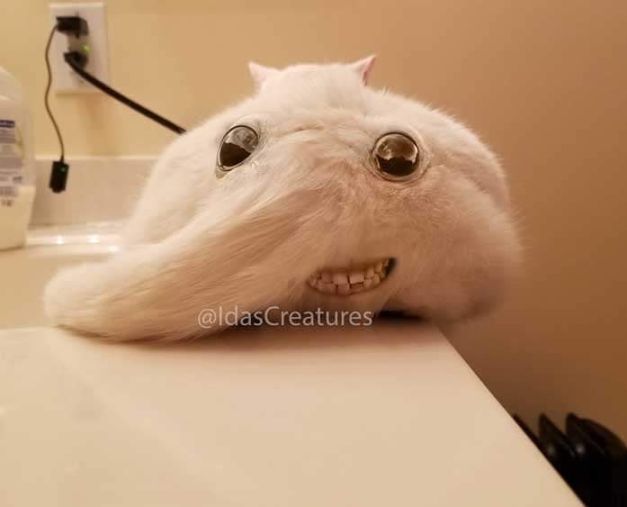 IdasCreatures tweet media