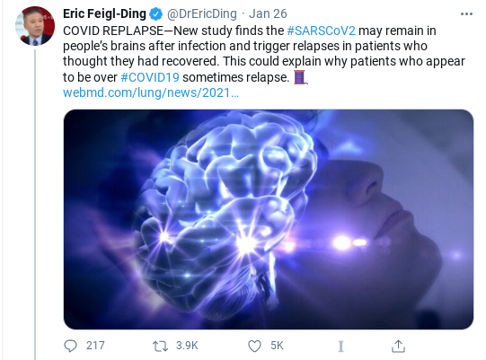 Top of thread: "REPLAPSE". Gets ~4000 retweets. Thirteen tweets later... "To be clear." "In mice." WebMD. 15 Retweets. Copy-paste from researcher—and even that's cherry-picked—not contextualization of findings or independent evaluation. No way to present a study or be informed.