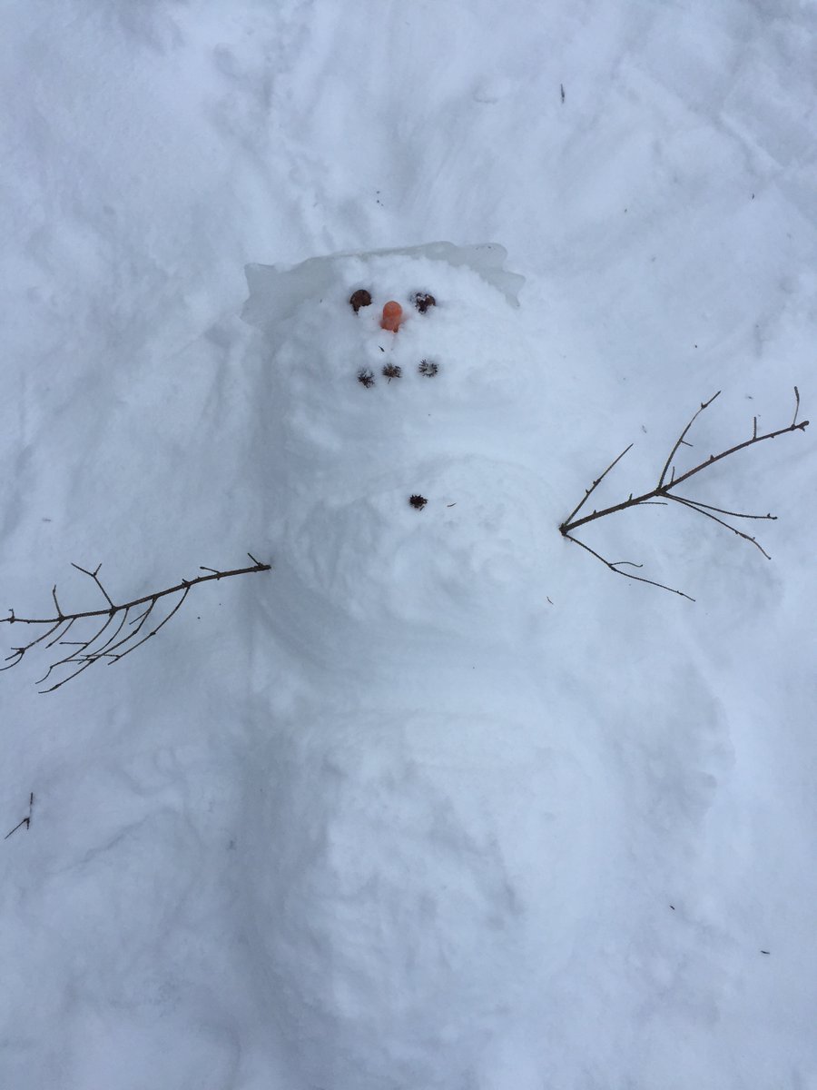 BISCLPYear2's tweet photo. It's been snowing this week so the #OutstandingOrcas had a snowman building competition. Both in school and virtual students took part. Which one is your favorite? @BISCLincolnPark #funinthesnow https://t.co/Fo2LPio7kx
