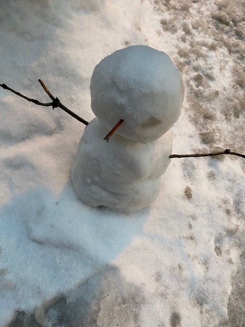 BISCLPYear2's tweet photo. It's been snowing this week so the #OutstandingOrcas had a snowman building competition. Both in school and virtual students took part. Which one is your favorite? @BISCLincolnPark #funinthesnow https://t.co/Fo2LPio7kx