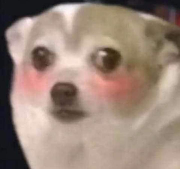 me preguntaron cómo era mi twitter y tuve que volver para chequear que no haya nada ofensivo y me cancelen