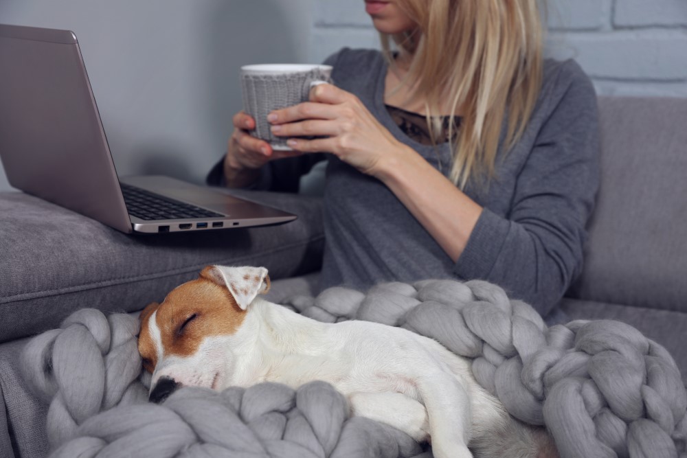 ChelseaGroton's tweet photo. There’s no better time than the present to review your 2020 finances and make adjustments to your budget for the new year. This checklist can help organize your finances so you can start 2021 feeling financially secure. 
https://t.co/NKgVs7yody #ChelseaUniversity #NewsYouCanUse https://t.co/apTJfy0HyW