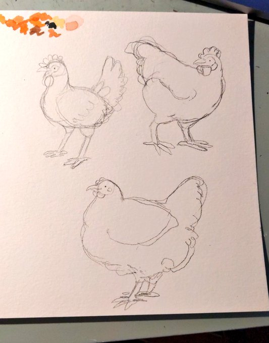 yes my patreon tiers ARE going to be breeds of chickens going by weight thank you for asking 