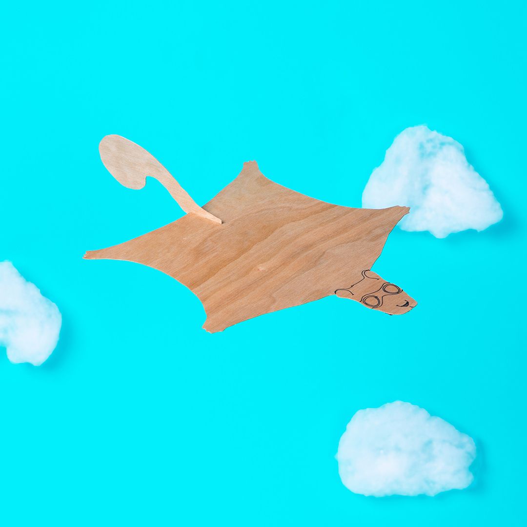 Not one, but TWO new #STEAM classes with our resident scientist, Jamie of <a href="/20Leagues/">20 Leagues</a>, are now live on the site! Make an animatronic owl 🦉🤖 or a flying squirrel ✈️  – a perfect activity for you and your kids. Check them out here: cbug.tv/JamieHudsonxCB