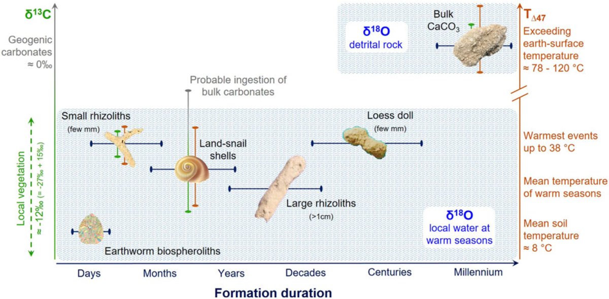 ykuzyakov's tweet photo. Just published in #Quaternary Research ( @INQUA ):
δ13C, δ18O and Δ47 records in #biogenic, #pedogenic and #geogenic #carbonates from paleosol-loess sequence and their #paleoenvironment
https://t.co/6nTUQ6Iphi https://t.co/slJJmM4sRe