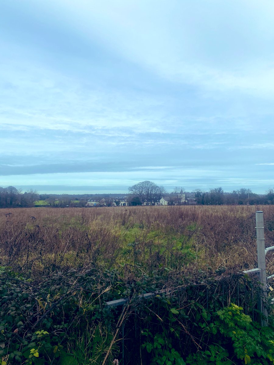 Day 27/100 still walking...
#100daysofwalking