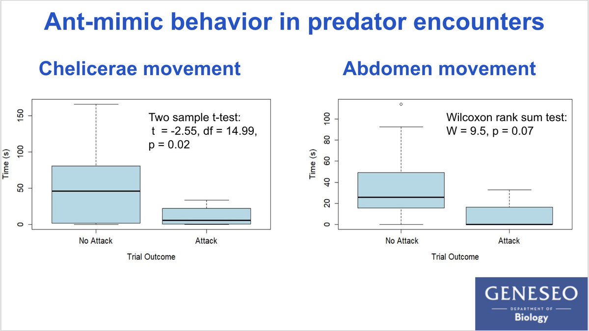 5  #AnimBehav2021 Ant-mimics that were not attacked exhibited a longer duration of chelicerae movement. We found no significant difference in abdomen movement between ant-mimics that were attacked or not. We have only analyzed half the trial videos so these data are preliminary.