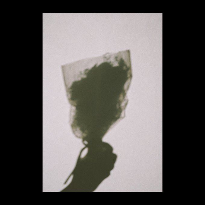 春の風のtwitterイラスト検索結果