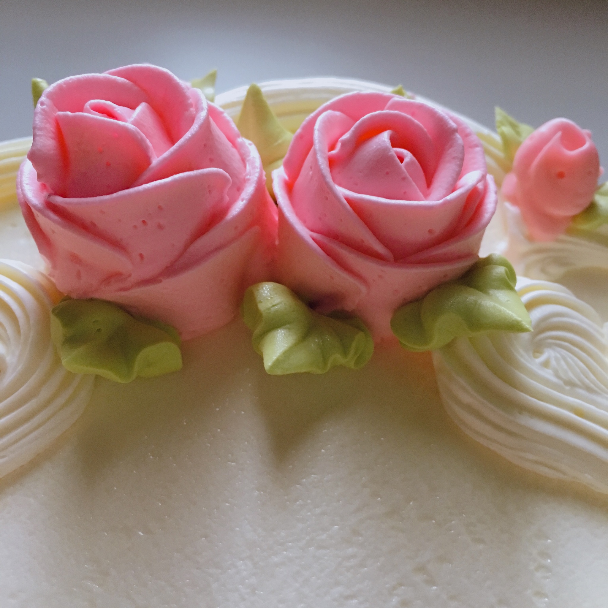 純喫茶コレクション 何もない日にホールケーキを買うのが好きです 気持ちによる行動ではなく 動作から呼ばれる感情というか 丸ごとの可愛らしいケーキが自宅にあることで 今日は良い日なんだ と思える幸せが数日間続きます 写真は 高円寺トリアノンの