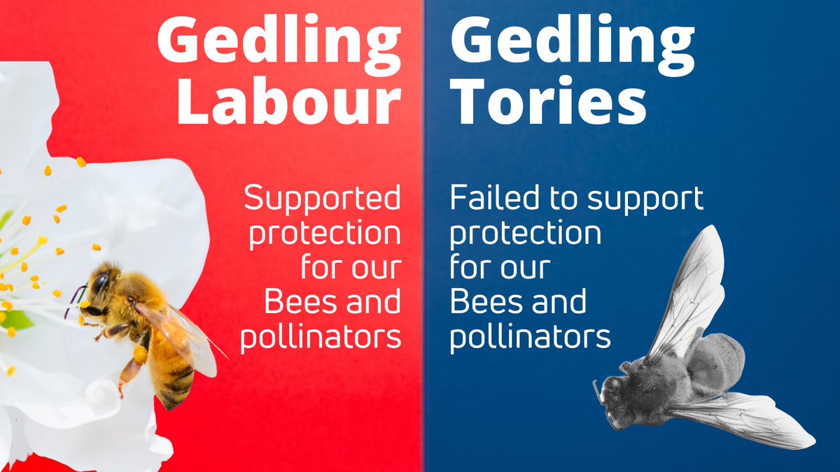 Gedling Labour tweet media