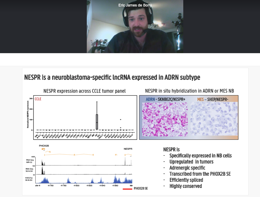 Pieter Mestdagh (@pieter_mestdagh) on Twitter photo Instead of a conference dinner, we're having online talks! <a href="/EricJamesdeBony/">Eric James de Bony</a> presenting our data on #lncRNA NESPR and it's role in #neuroblastoma. Joint effort with @ldlhaye. Final moments of #ANR2021 Instead of a conference dinner, we're having online talks! <a href="/EricJamesdeBony/">Eric James de Bony</a> presenting our data on #lncRNA NESPR and it's role in #neuroblastoma. Joint effort with @ldlhaye. Final moments of #ANR2021