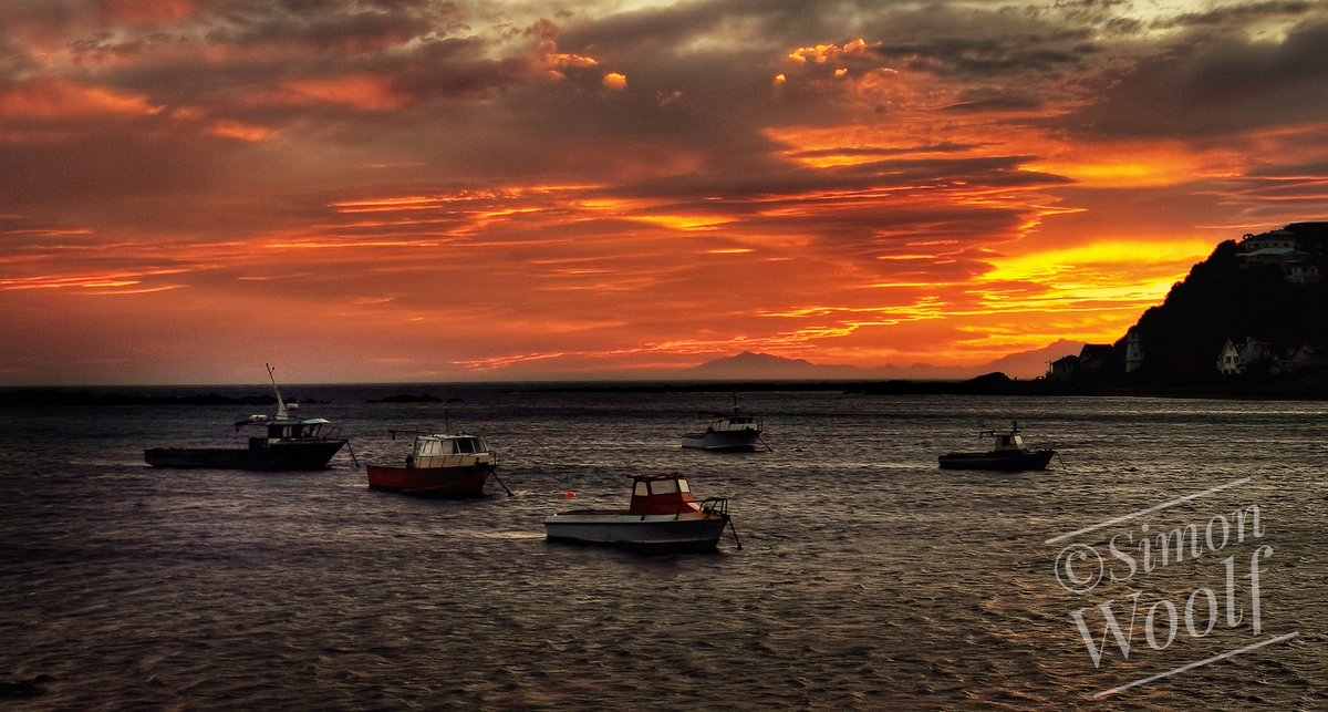 Simon Woolf tweet media