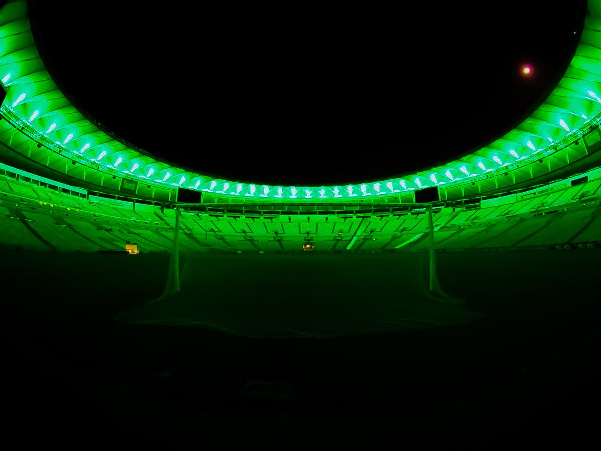 Já imaginaram como seria foda o Maracanã todo verde? 

Basta subirmos a hashtag #palmeiras e veremos essa coisa maravilhosa acontecendo.