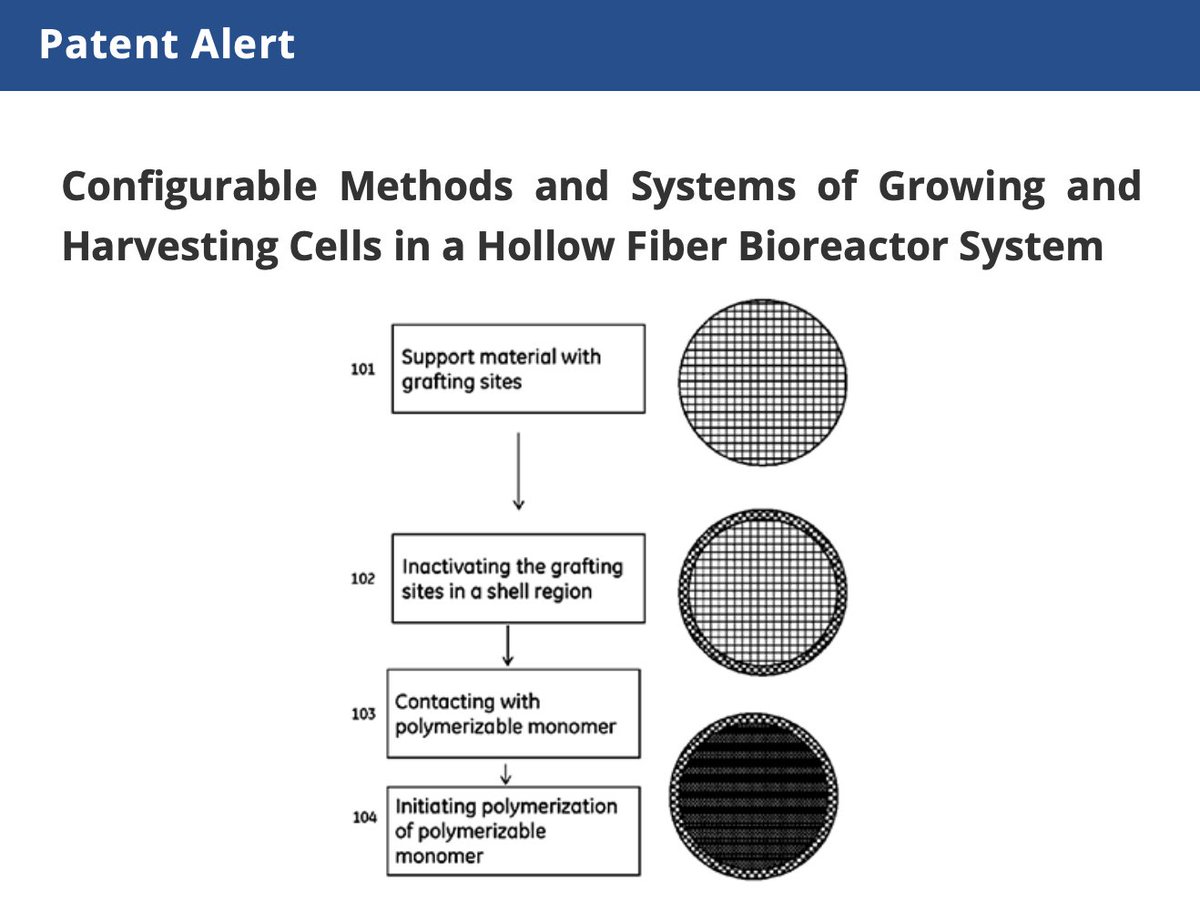 aspen_media_inc's tweet image. A U.S. Patent for &quot;Configurable Methods and Systems of Growing and Harvesting Cells in a Hollow Fiber Bioreactor System&quot; was awarded to Terumo BCT on December 22nd, 2020. 
READ MORE: ow.ly/nV2J50DkckC
-
#aspenalert #biotechpatents #bioreactorsystem #cellharvesting