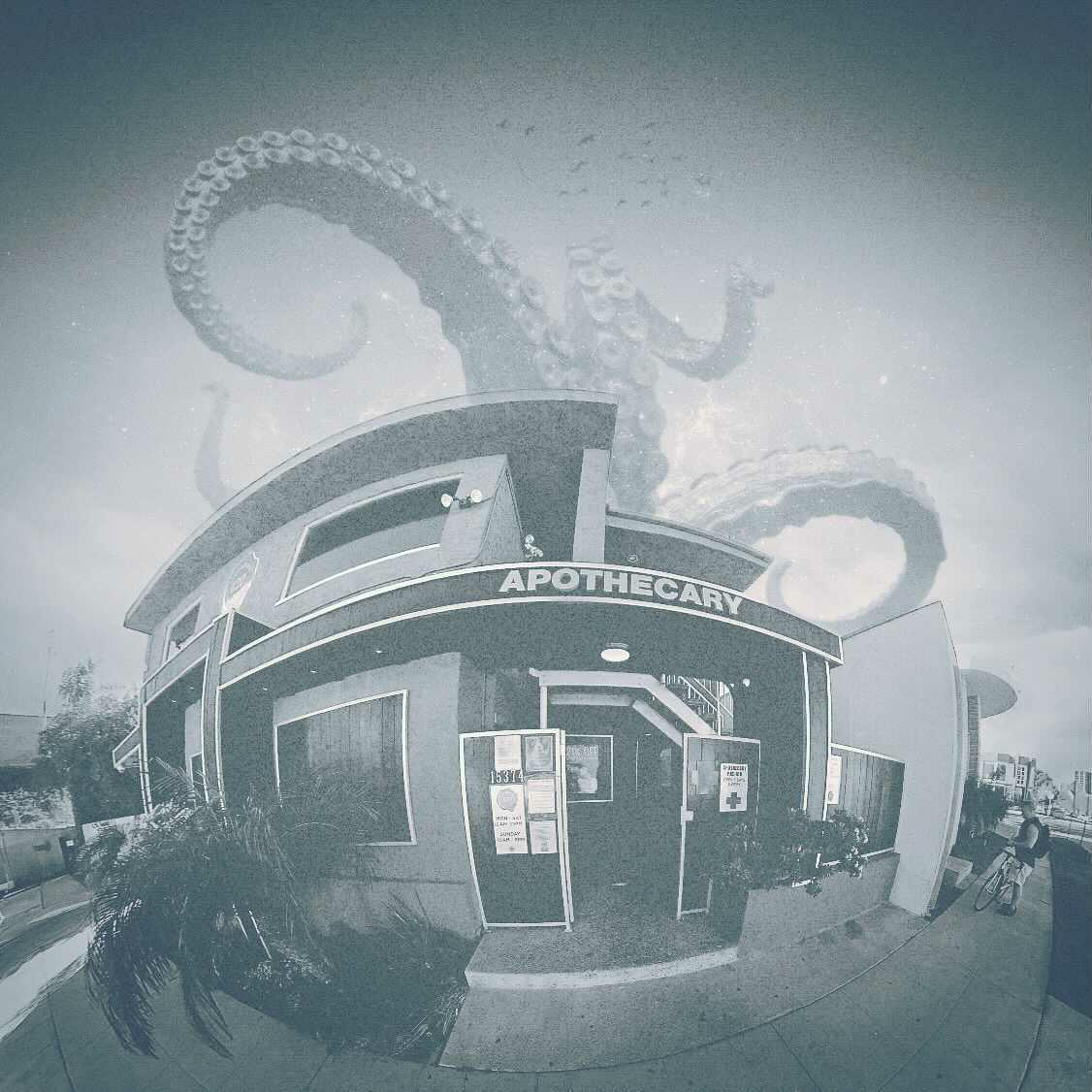 It's a great day in Sherman Oaks,  CA!!! The cannabis is green and the terps are right!! Even rainy days <a href="/Apothecary_420/">Apothecary</a> are beautiful all day &amp; all night 🌁🌉! Happy Wednesday! 🌏🌧💦🌞🙌🙌🙌🤘
•
#KnowledgeGeneticsQuality 
#Apothecary