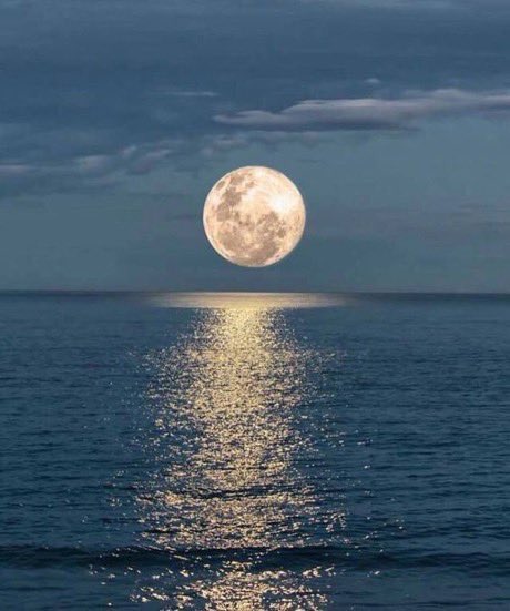 Dan (@danleorda) on Twitter photo 