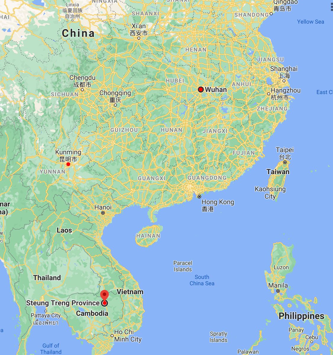 Out of 430 archived bat samples, only 2 tested positive for SARSr-CoV. Both had the same virus and were collected in December 2010 (a decade ago) in North East Cambodia.Anyone else feel like we're getting further and further away from Wuhan (ground zero)?