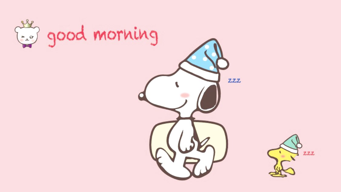 ワンにゃんにくきゅう こんにちは スヌーピー可愛いです