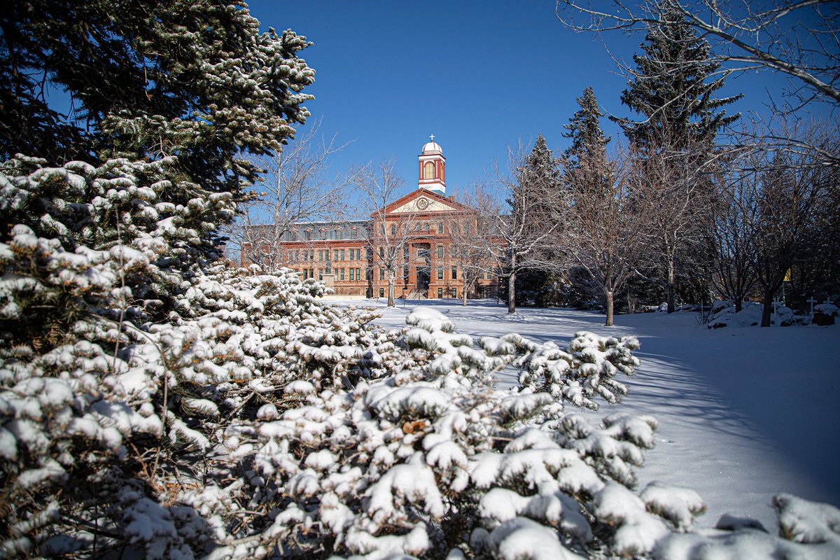RegisUniversity's tweet photo. We love a bluebird day☀️ #ThisIsRegis #JesuitEducated #CollegeInColorado https://t.co/E2wec4NItU