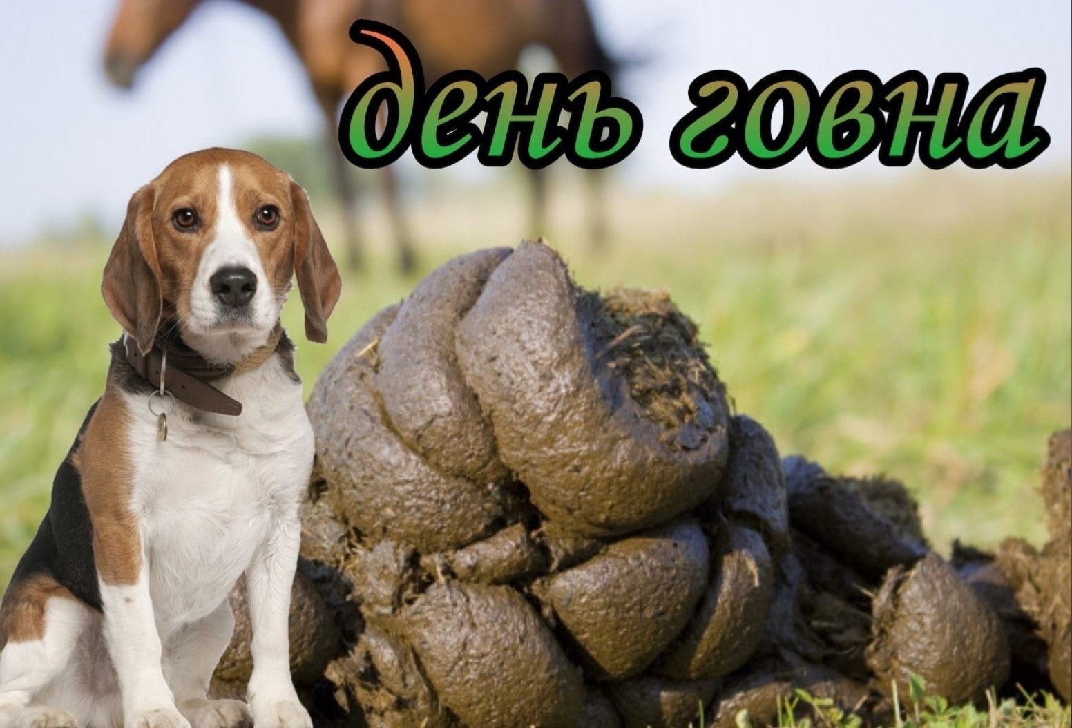 Поздравление с днем говна