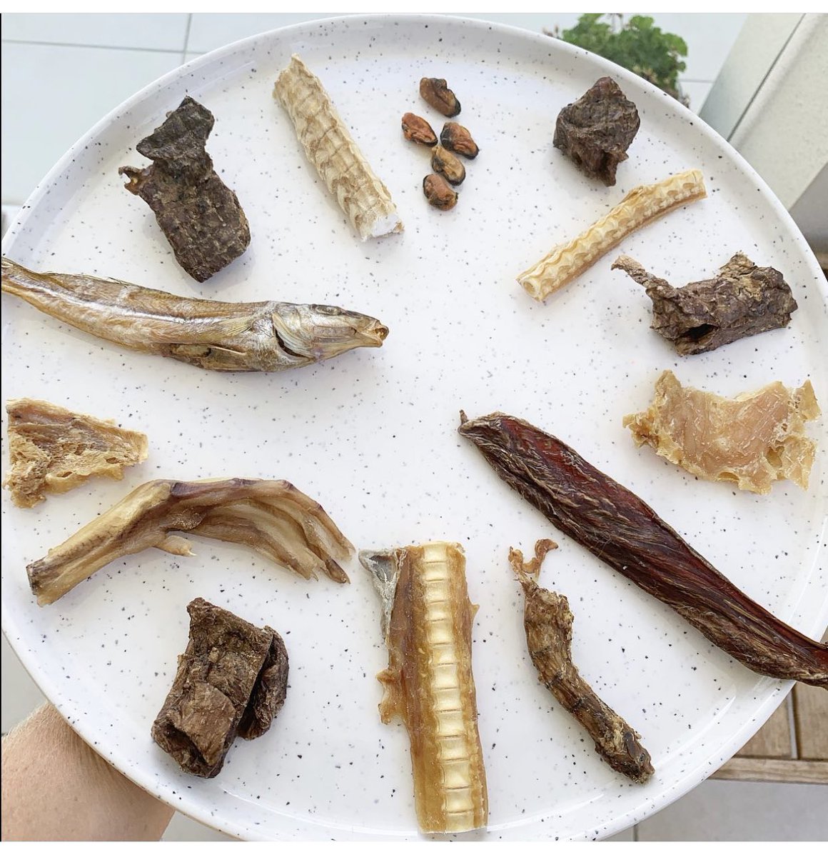 rowf_pak's tweet image. Gourmet tasting plate. Who’s pup would love one of these?