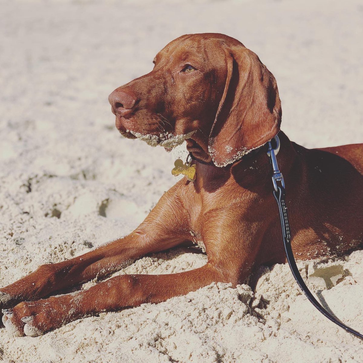 rowf_pak's tweet image. Who’s lucky enough to head to the beach today? Definitely out favourite place to reflect and focus. Where’s yours?