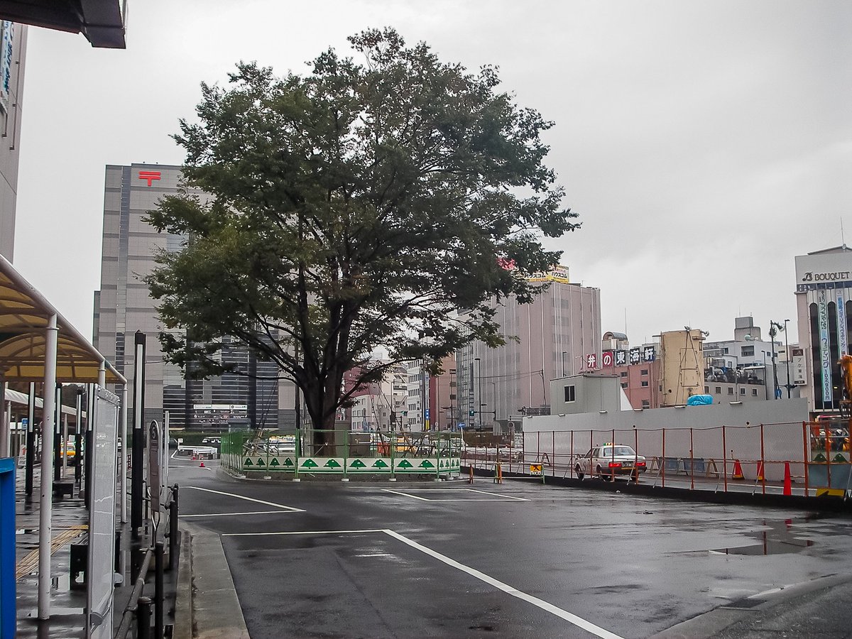 三日画師 リニューアル工事中の静岡駅北口 バスの前面にはナンバープレートを隠す勢いで 思いやりパッシング運動 静岡中央地区 掲示中 05年10月29日撮影 三日画師 リニューアル工事中の静岡駅北口 バスの前面にはナンバープレートを隠す勢いで 思いやりパッシング運動 静岡中央地区 掲示中 05年10月29日撮影