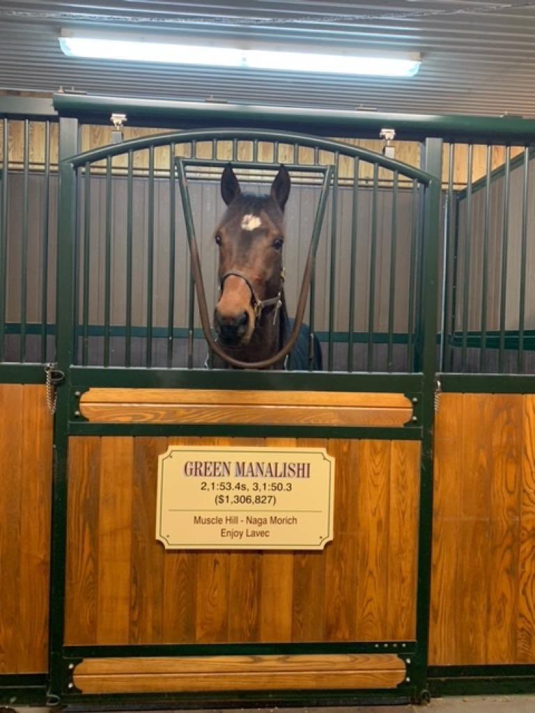 Green Manalishi has arrived to his new home at Tara Hills Stud! 

tarahills.com/horse/green-ma…