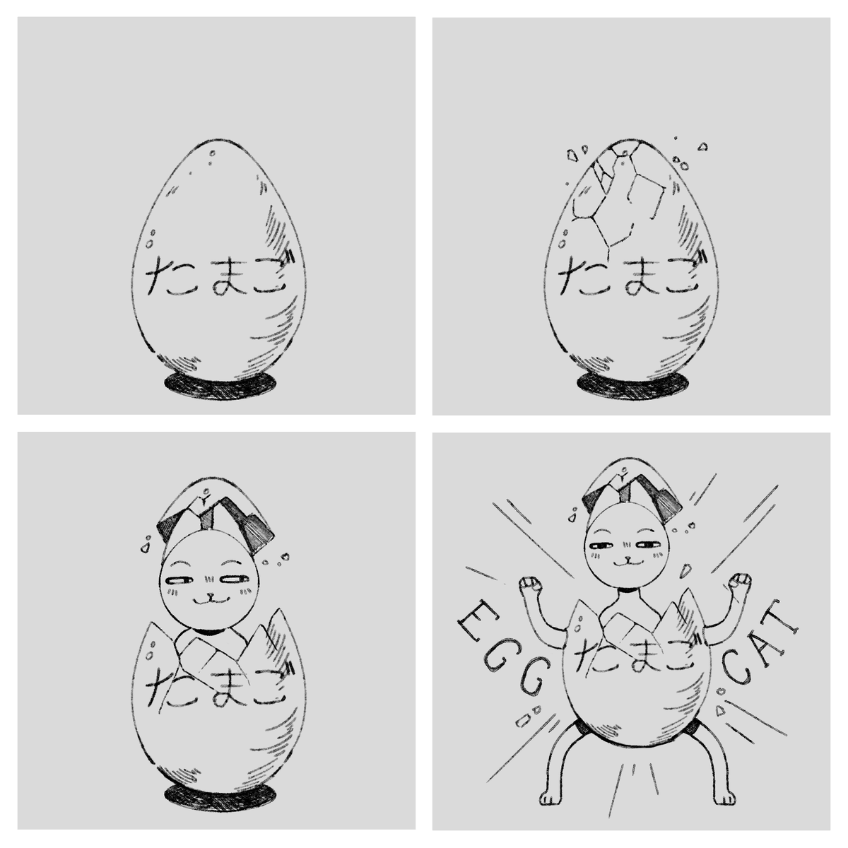 egg cat ('・ω・`)? 