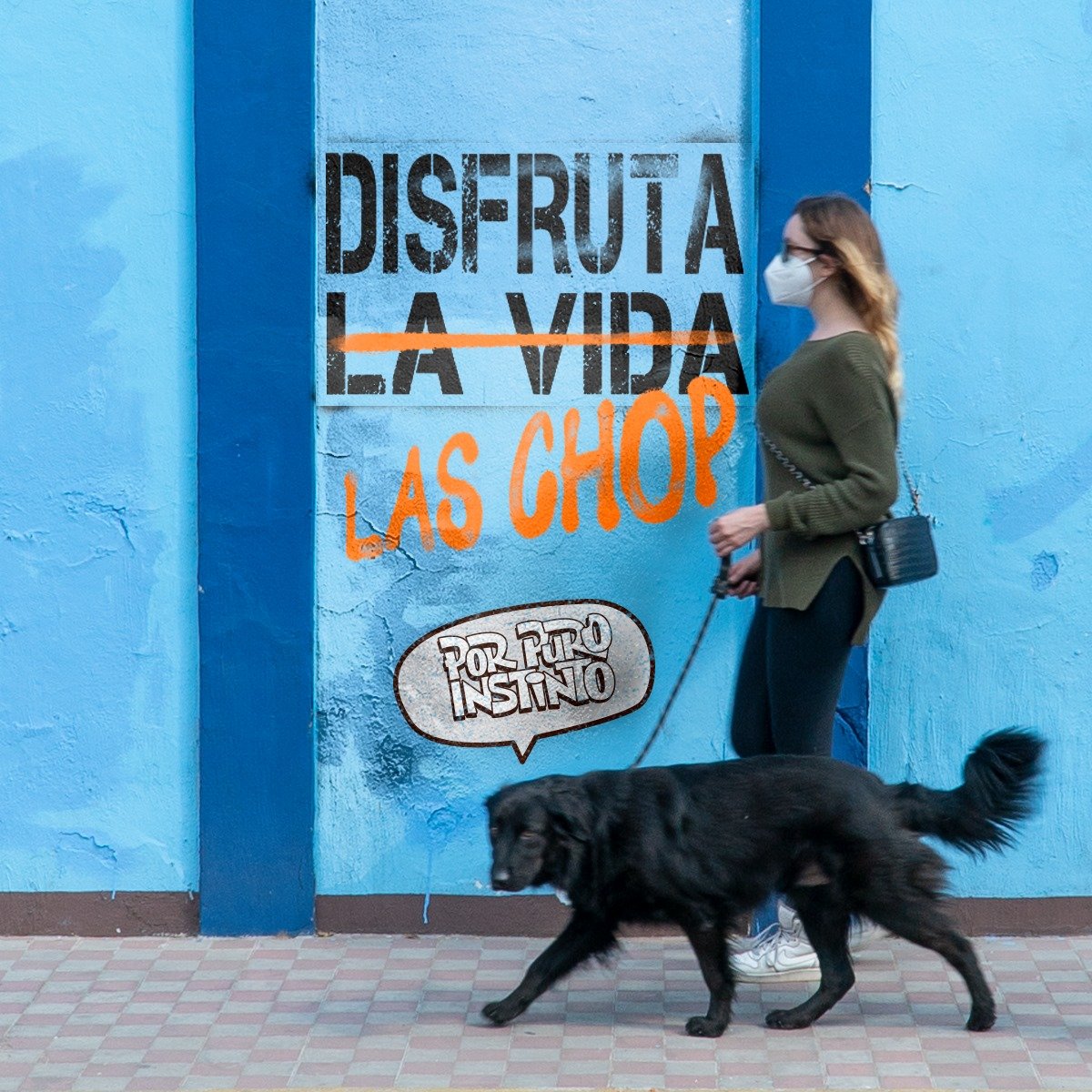 CroquetasChop's tweet photo. El instinto de un perro🐕 es como un radar que lo lleva directo a la sabrosura de Croquetas CHOP.🤤
La verdad para ellos es imposible resistirse ya que saben a carnita y les darán las proteínas que ellos necesitan.👅 https://t.co/CjNl7zHFRS
