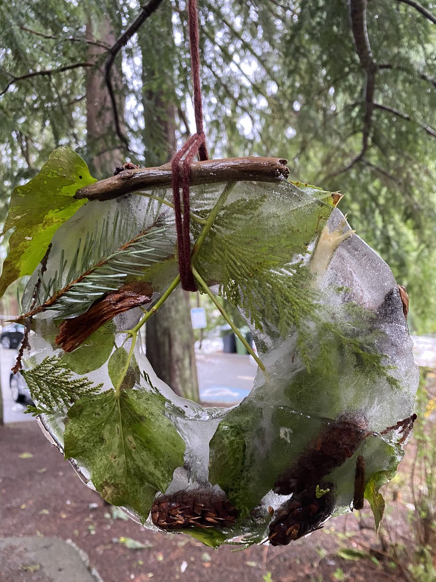 Mother Nature helped us with our art projects this week at #lionsbayschool Inspired by <a href="/Roomtoplay/">Dr. Megan Zeni</a>