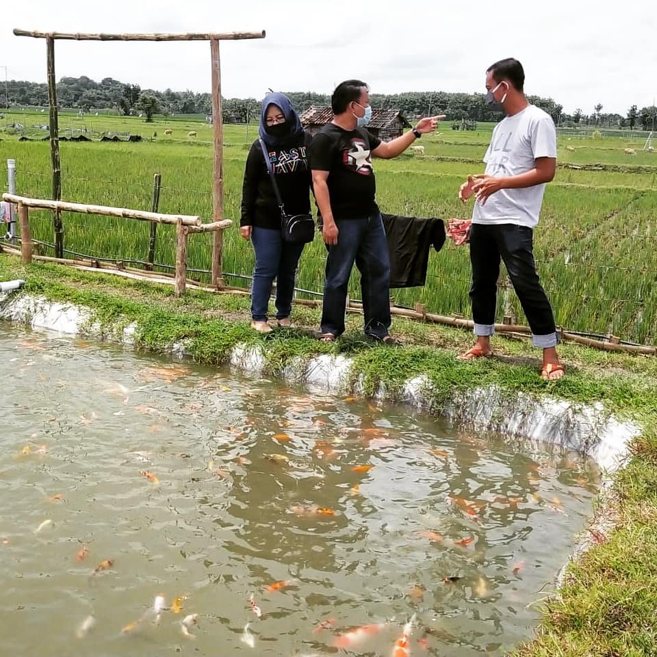 hesti kristiawan tweet media