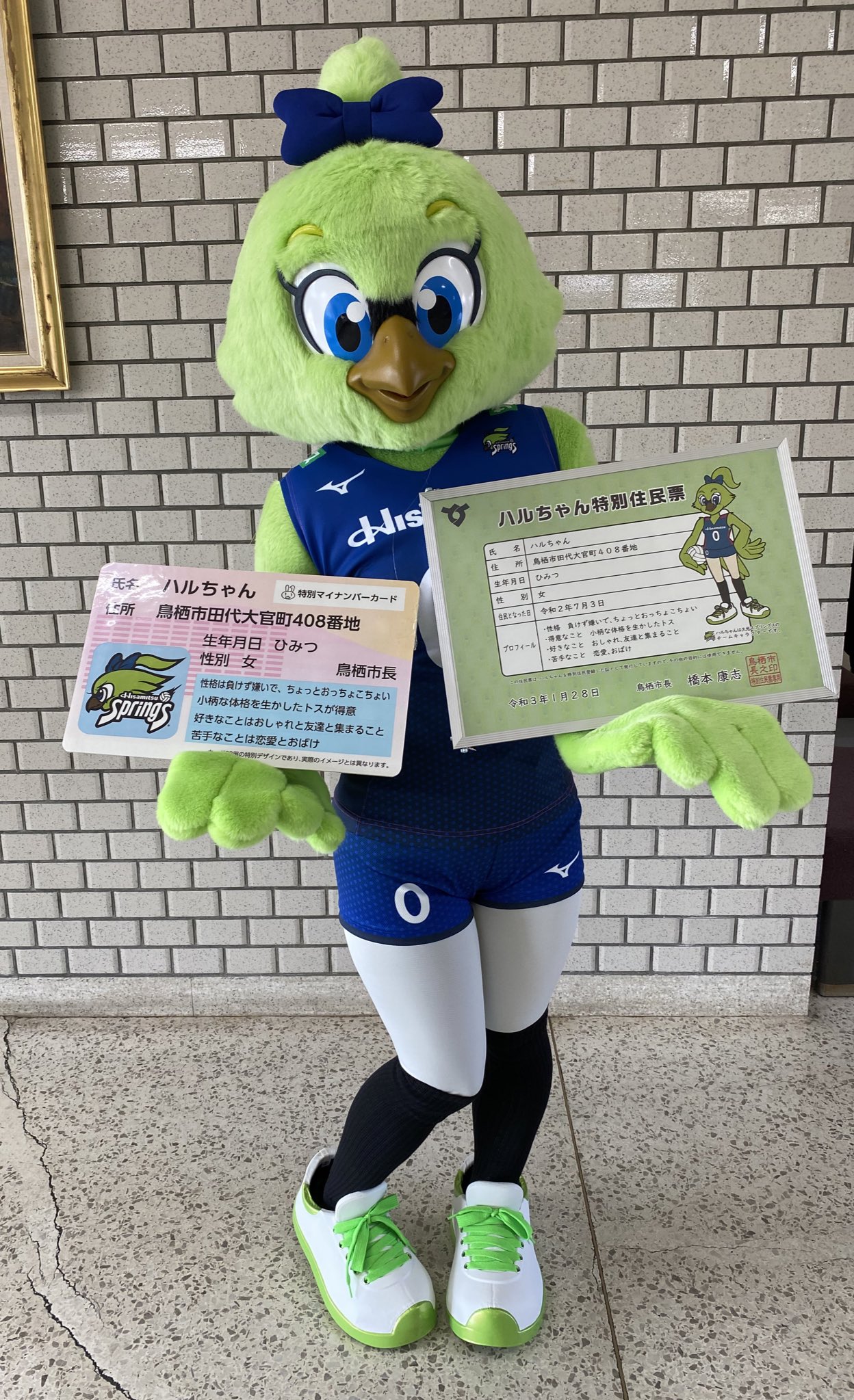 O Xrhsths 公式 久光スプリングス Sto Twitter 本日 ハルちゃん が 鳥栖市 より 特別住民票と特別マイナンバーカードをいただきました サガン鳥栖 ウィントス くんと 鳥栖市の とっとちゃん と 鳥栖市を盛り上げていくぞー Hisamitsusprings 久光