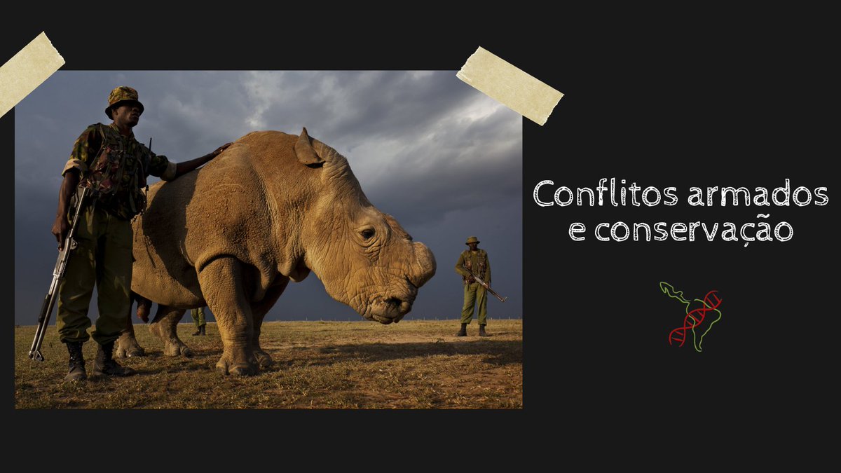 CastSapiens's tweet image. Essa semana ainda!!!!