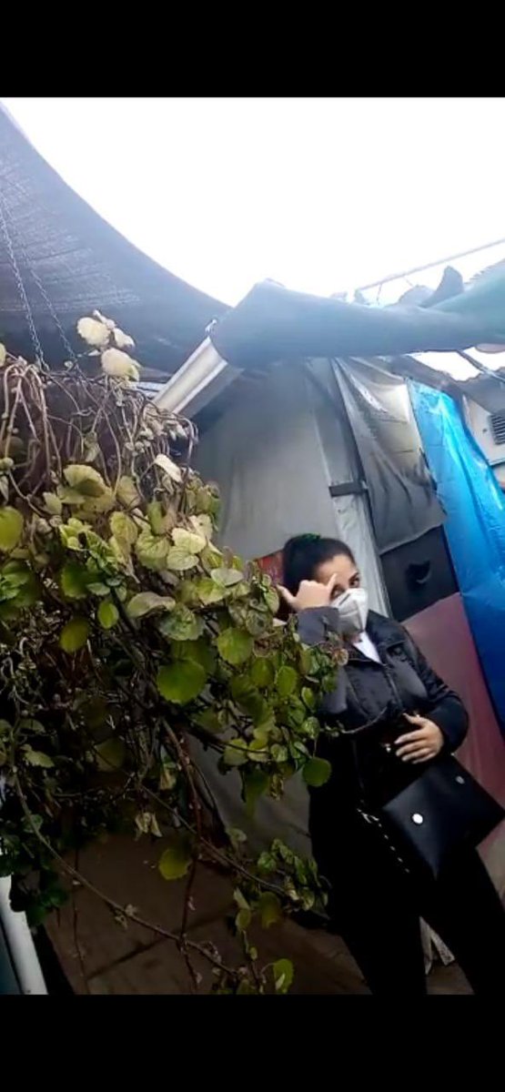 Aquí está un ejemplo cómo Andrea Aparicio llora enfrente de las cámaras y va a hostigar, a chantejear a Marco Pappa. <a href="/MPguatemala/">MP de Guatemala</a> <a href="/luchorojo74/">CSD Municipal mi vida</a> <a href="/MarcoPappas16/">Marco Pappa</a> <a href="/soy_502/">Soy 502</a> <a href="/iastorga969/">Radio Sonora</a> <a href="/PlazaPublicaGT/">Plaza Pública</a> <a href="/PublinewsGT/">Publinews</a> <a href="/DTransitoPNC/">PNC Tránsito</a> <a href="/OJGuatemala/">Organismo Judicial</a> <a href="/OtroMula/">El pelo de X™ 🌐</a> <a href="/Batigordo1/">Batigordo</a> @EBoche_elP