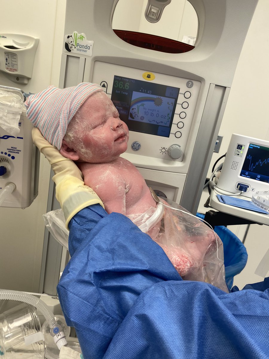 kiersten 🍄 tweet media