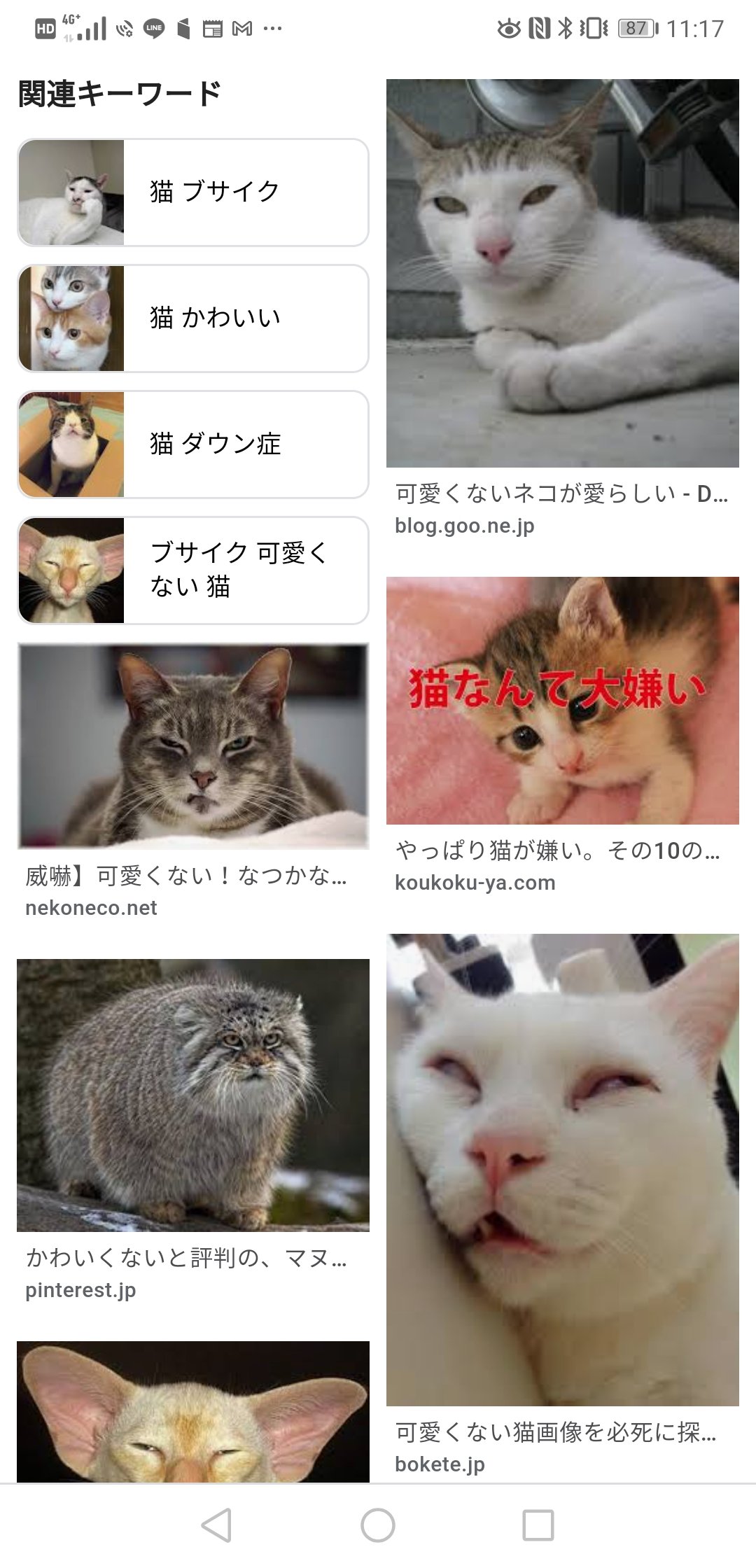 تويتر Toha على تويتر 猫ってかわいくない時がないんですけど 逆にかわいくない猫がいないか調べ始めたがこれはこれでかわいいし猫好きだな T Co I4cgjvjv7n