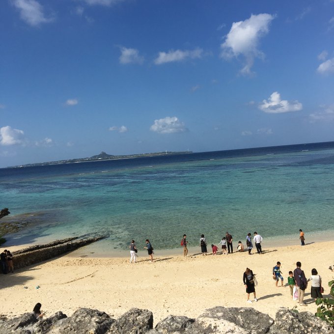 美ら海水族館のtwitterイラスト検索結果