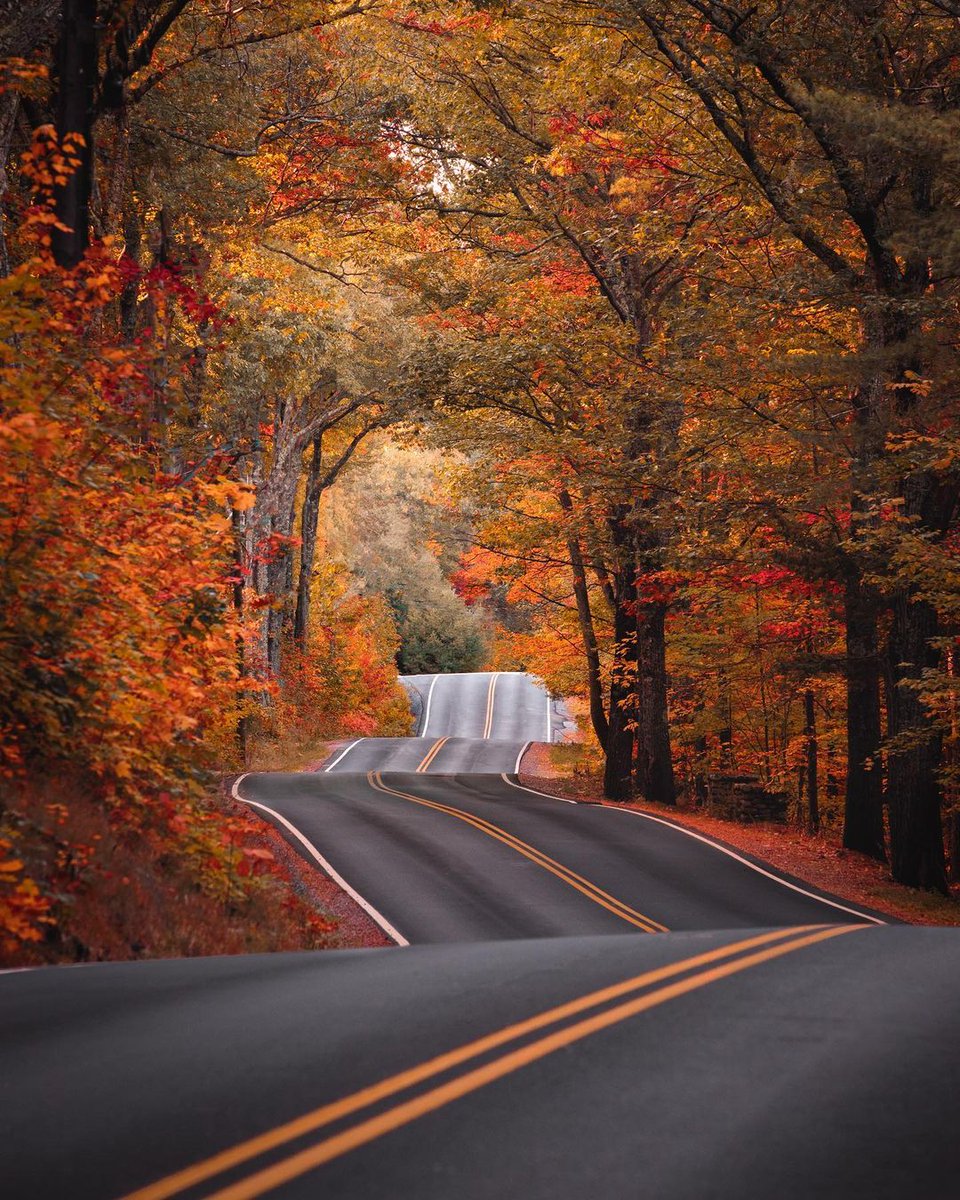gorgeous_pix's tweet image. &quot;A fall drive in Sunapee, New Hampshire. From u/staidplub on /r/mostbeautiful #newhampshire #falldrive #sunapee #mostbeautiful&quot;
