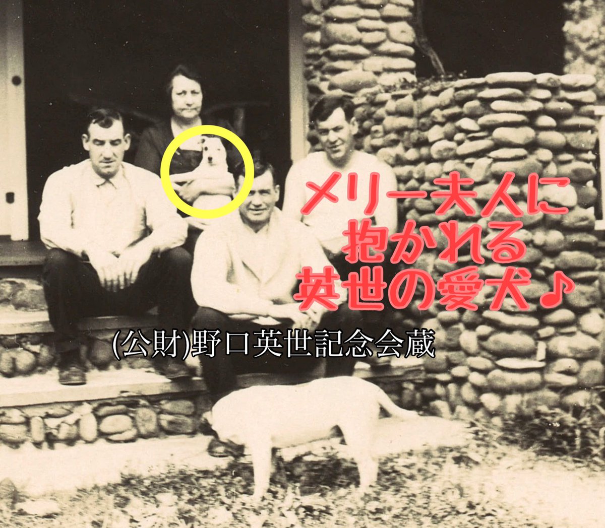 今日は逸話の日 野口英世には愛犬が 日々 感染症研究で激務の英世を笑顔にする存在 おとぼけ顔が何ともかわいい ｙ 野口英世 野 21 01 28 会津 猪苗代の観光 博物館 野口英世記念館 のぐちひでよきねんかん ぐるっと会津